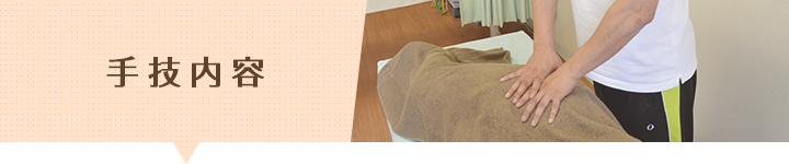 手技内容